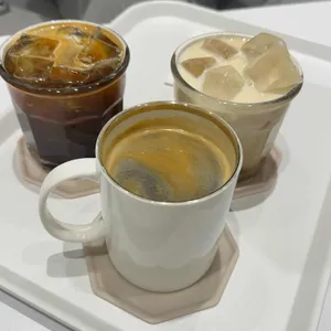 디아펠리즈 사진