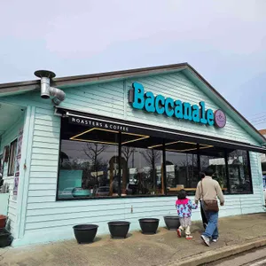 바까날레 대표 사진