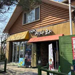 케사라 리뷰 사진