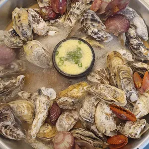 갯벌의조개 사진