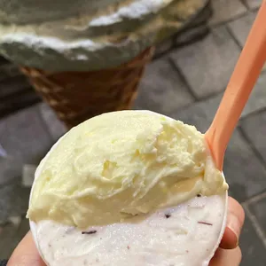 오로시젤라또 사진