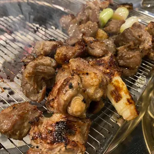 탄천갈매기 사진