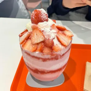 대설 사진