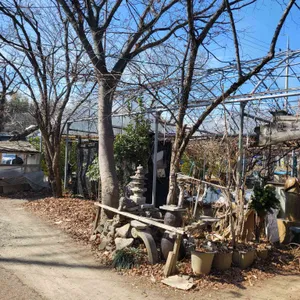 포도밭 대저할매국수 리뷰 사진