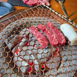 꽃살집 사진
