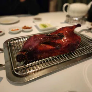 유유안 대표 사진
