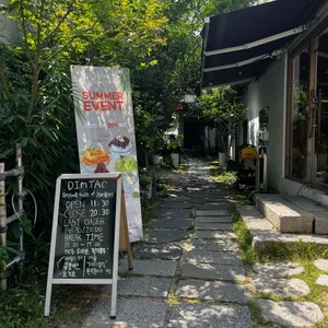 딤타오 리뷰 사진