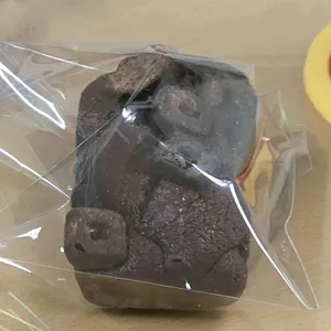 네모네 사진