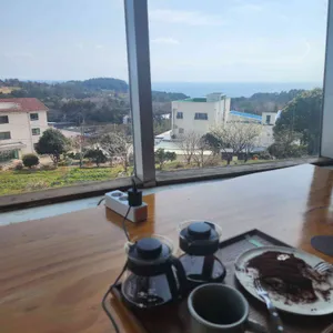 코우코알라 사진