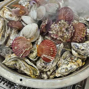 민들레굴수산 사진
