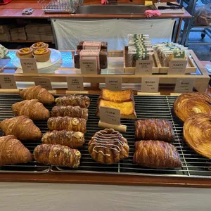 노베이커 노베이커스 사진