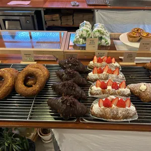 노베이커 노베이커스 사진