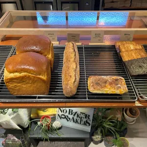 노베이커 노베이커스 사진