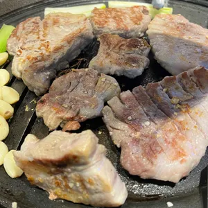 부산갈매기 사진 2