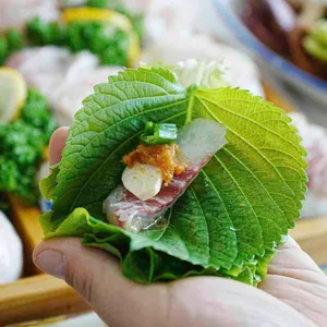 본전회수산 사진