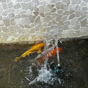 공림 리뷰 사진