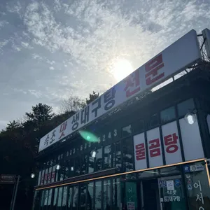 속초맛 생대구탕 리뷰 사진