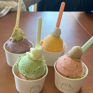 두웅둥 사진 1