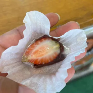 서녹씨 사진