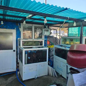 본가딸부자전복죽집 리뷰 사진