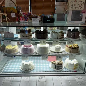 오후애 사진