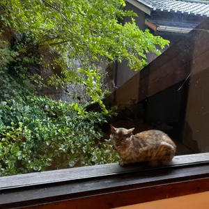 구룡가옥 리뷰 사진