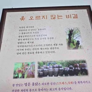 명문옻닭 리뷰 사진