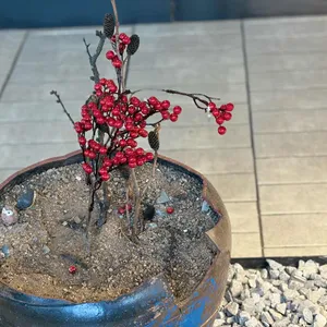 에이엠다이닝키친 사진