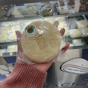 베이크백 사진