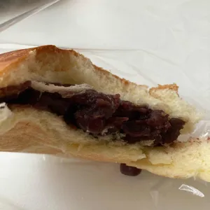 욥 사진 2