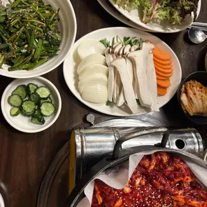 낙동생오리 사진