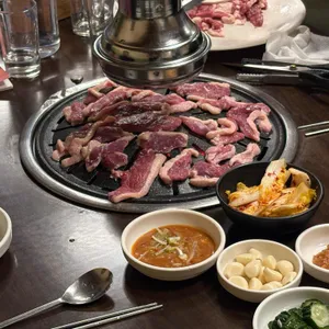 낙동생오리 사진