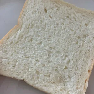 화이트리에 사진