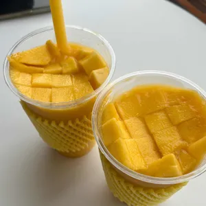 라스칼라 사진