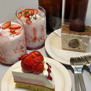 디배따 사진