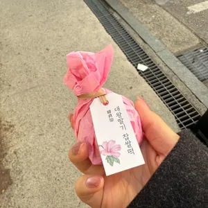 한정선 사진