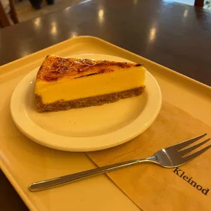 클라이노드 사진