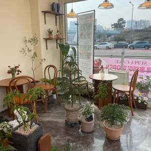 수피아플라워앤케이크 대표 사진