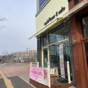 수피아플라워앤케이크 리뷰 사진