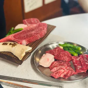 백송 사진
