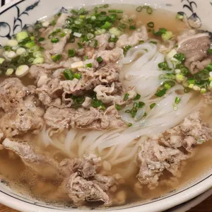 안안 사진