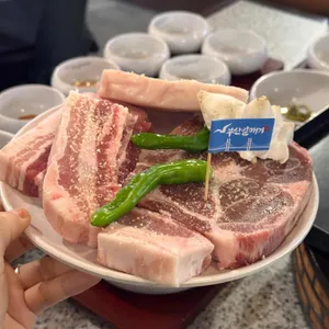 부산갈매기 사진