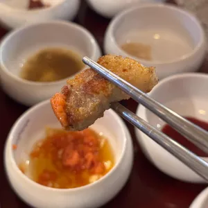 부산갈매기 사진