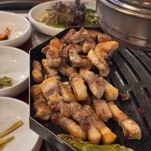 부산갈매기 사진