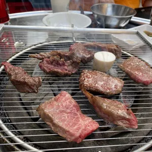 소나무언덕 사진