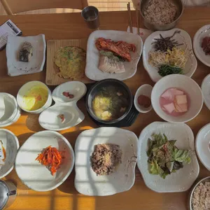 벽오동 사진