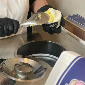 젤라떼리아 여름 사진 2