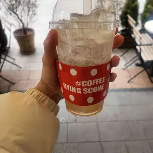 플라잉스콘 사진
