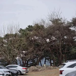 가마솥에누른밥 리뷰 사진