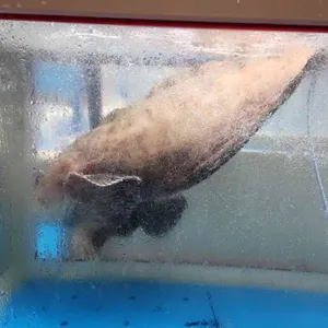 정여사 밥이랑 회랑 리뷰 사진